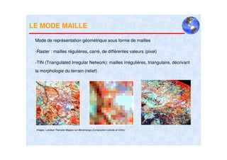 LE MODE MAILLE

 Mode de représentation géométrique sous forme de mailles

 -Raster : mailles régulières, carré, de différentes valeurs (pixel)

 -TIN (Triangulated Irregular Network): mailles irrégulières, triangulaire, décrivant
 la morphologie du terrain (relief)




 Images Landsat Thematic Mapper sur Moramanga (Composition colorée et Ortho)
 