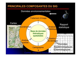 PRINCIPALES COMPOSANTES DU SIG
           Données environnementales

                       Traitement d’image

 Cartes
                                                           Rapport
          Numérisation                       Analyse      statistique
                                            statistique
                       Base de données
                         thématiques
                         spatialisées
                                             Gestion
            Analyse                         de données
            spatiale
                                                       Données
                         Cartographie              Epidémiologiques
                                                   Entomologiques…
              Cartes, Aide à la Décision
 