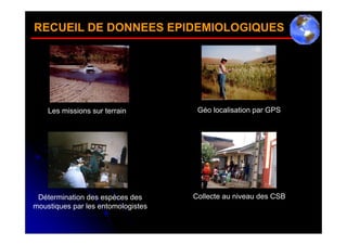 RECUEIL DE DONNEES EPIDEMIOLOGIQUES




    Les missions sur terrain         Géo localisation par GPS




 Détermination des espèces des      Collecte au niveau des CSB
moustiques par les entomologistes
 
