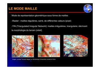 LE MODE MAILLE
 Mode de représentation géométrique sous forme de mailles

 -Raster : mailles régulières, carré, de différentes valeurs (pixel)

 -TIN (Triangulated Irregular Network): mailles irrégulières, triangulaire, décrivant
 la morphologie du terrain (relief)




 Images Landsat Thematic Mapper sur Moramanga (Composition colorée et Ortho)
 