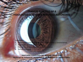 Sna Visual TP SNA AyFSV 2024 resuelto.pdf de ffyb tuoc | PDF