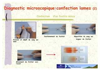 !       5? 6

                  +   !   (   !




                              !

      *                               !




          !   #
( #
 