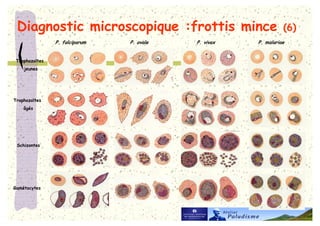 !                53 6
                       '!   ' #       ' ## F   '


    <            ) H
        G




<               ) H
        I




            )
 