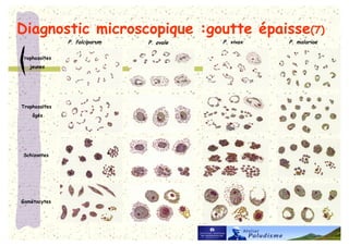 5E 6
                  '!   ' #   ' ## F   '

<           ) H
    G




<           ) H
        I




        )
 