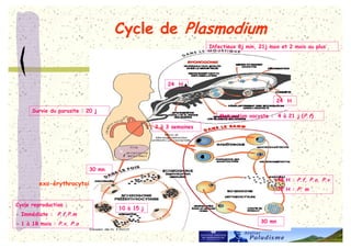 +
                                                     !   F 2G   $ ?1G   F    ?




                                                ?@


                                                                        ?@
           #             ?4 G
                                                                        @ % ? 1 G 5 '!6

                                            ? % C




                          C4
                                                                        @2       '!$ ' $ '#
           F >
                                                                        E?       '

+
                                14 % 1: G
>                '!$ '
> 1 % 12         '#$ '                                            C4
 