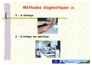 5C 6

: >




3 >   7   !
 