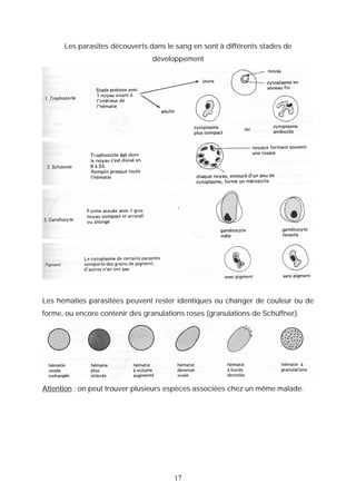 Les parasites découverts dans le sang en sont à différents stades de
                                 développement




Les hématies parasitées peuvent rester identiques ou changer de couleur ou de
forme, ou encore contenir des granulations roses (granulations de Schüffner).




Attention : on peut trouver plusieurs espèces associées chez un même malade.




                                       17
 