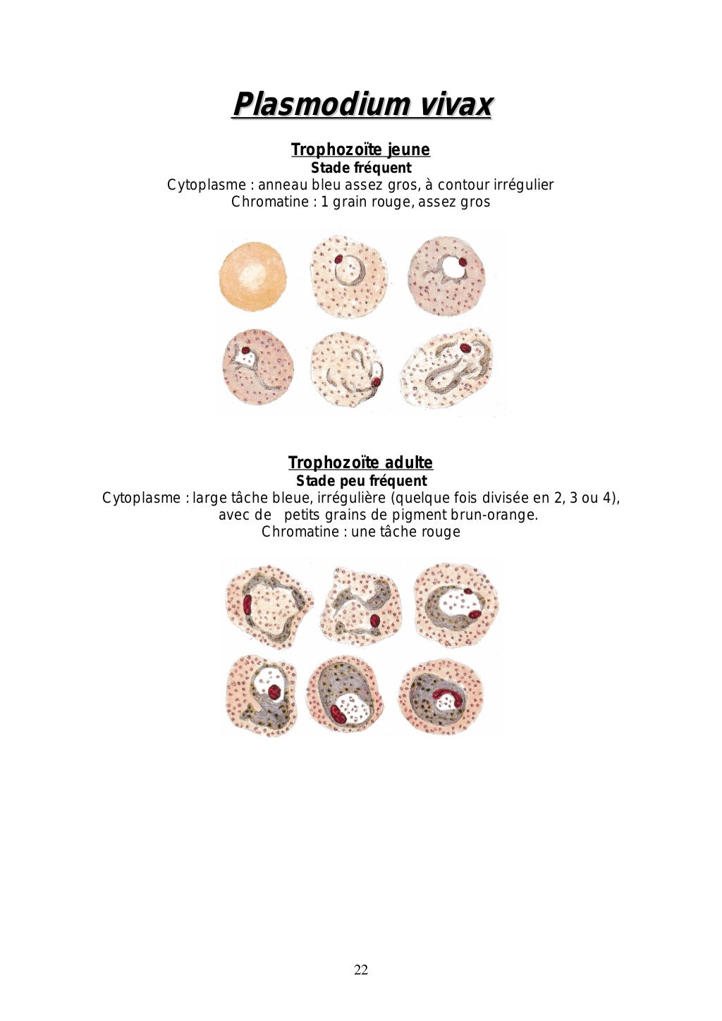 Le diagnostic biologique du paludisme par microscopie