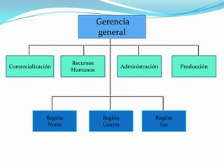 Gerencia
                                  general


                       Recursos
Comercialización                            Administración        Producción
                       Humanos




              Región               Región                Región
              Norte                Centro                 Sur
 