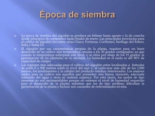    La época de siembra del algodón se produce en febrero hasta agosto y la de cosecha
    desde principios de septiembre hasta finales de enero. Las principales provincias para
    el cultivo de algodón son entre otras Chaco, Formosa, Corrientes, Santiago del Estero,
    Salta y Santa Fe.
   El algodón por sus características propias de la planta, requiere para un buen
    desarrollo en su cultivo una temperatura cercana a los 30 grados centígrados; ya que
    cuando la temperatura sobrepasa este nivel, o se sitúa por abajo de los 15 grados, la
    germinación de las plántulas se ve afectada. La humedad en el suelo es del 90% de
    capacidad de campo.
   Las regiones más adecuadas para el cultivo del algodón están localizadas a latitudes
    de entre 0 a 500 metros sobre el nivel del mar y, al cultivarse más allá de los 1,000
    metros, los rendimientos y la calidad del producto resultan deteriorados. Los mejores
    suelos para su cultivo son aquellos que presentan una buena aireación, adecuada
    retención del agua y ricos en materia orgánica. Por esta razón, los suelos de tipo
    arenosos no son recomendables porque no retienen el nivel de humedad requerido
    para el desarrollo de la planta; mientras que los de tipo arcilloso dificultan la
    germinación de la planta e incluso son causantes de enfermedades en ésta.
 