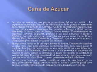    La caña de azúcar es una planta proveniente del sureste asiático. La
    expansión musulmana supuso la introducción de la planta en territorios
    donde hasta entonces no se cultivaba. Así llegó al continente europeo, más
    en concreto a la zona costera entre las ciudades de Málaga y Motril, siendo
    esta franja la única zona de Europa donde arraigó. Posteriormente los
    españoles llevaron la planta, primero a las islas Canarias, y luego a
    América. Así este cultivo se desarrolló en países como Cuba, Brasil,
    México, Perú, Ecuador, Colombia y Venezuela, que se encuentran entre
    los mayores productores de azúcar del mundo.
   El jugo de su tronco es la principal fuente de azúcar. Después de cosechar
    la caña, pasa bajo unas cuchillas desmenuzadoras, para luego pasar al
    trapiche. Este jugo es depurando por una serie de filtros; a continuación,
    se somete a un tratamiento clarificante y de ahí se coloca en depósitos de
    cocción al vacío, donde se concentra el jugo; por último, se cristaliza el
    azúcar del jugo. Una vez cristalizado el azúcar, se extrae el agua restante
    quedando así el azúcar blanco común que se conoce habitualmente.
   En las zonas donde se cosecha, también se masca la caña fresca, por su
    jugo; pero también el jugo dulce se vende en vasos o conos de papel poco
    después de haber sido extraído empleando una máquina con ese fin.
 