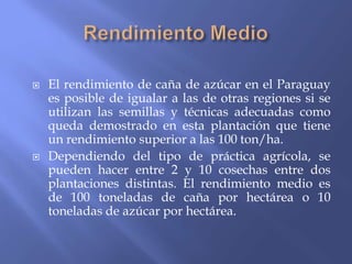    El rendimiento de caña de azúcar en el Paraguay
    es posible de igualar a las de otras regiones si se
    utilizan las semillas y técnicas adecuadas como
    queda demostrado en esta plantación que tiene
    un rendimiento superior a las 100 ton/ha.
   Dependiendo del tipo de práctica agrícola, se
    pueden hacer entre 2 y 10 cosechas entre dos
    plantaciones distintas. El rendimiento medio es
    de 100 toneladas de caña por hectárea o 10
    toneladas de azúcar por hectárea.
 