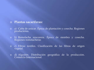    Plantas sacaríferas:
   a) Caña de azúcar. Época de plantación y cosecha. Regiones
    productoras.

   b) Remolacha azucarera. Época de siembra y cosecha.
    Regiones remolacheras

   c) Fibras textiles. Clasificación de las fibras de origen
    vegetal.

   d) Algodón. Distribución geográfica de la producción.
    Comercio Internacional.
 