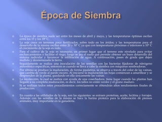    La época de siembra suele ser entre los meses de abril y mayo, y las temperaturas óptimas oscilan
    entre los 15 y los 18º C.
   La soja crece en terrenos poco fertilizados, sobre todo en los áridos; y las temperaturas para el
    desarrollo de la misma oscilan entre 20 y 30º C ya que con temperaturas próximas o inferiores a 10º C
    el crecimiento de la soja es nulo.
   Para el cultivo de la soja es necesario, en primer lugar que el terreno este nivelado para evitar
    encharcamientos y facilitar el riego, luego se ara el suelo que permite obtener un buen desarrollo del
    sistema radicular y favorecer la infiltración de agua. A continuación, pases de grada que dejen
    mullida y desmenuzada la tierra.
   Seguidamente se realiza una inoculación de las semillas con las bacterias fijadoras de nitrógeno
    atmosférico específicas, entonces es cuando se lleva a cabo la siembra con máquinas sembradoras.
   Por último se produce la maduración, de forma paulatina, se observa a través del color de las vainas,
    que cambia de verde al pardo oscuro. Al iniciarse la maduración las hojas comienzan a amarillear y se
    desprenden de la planta, quedando en ella únicamente las vainas.
   La recolección, la cual se realiza con ayuda de una cosechadora, tiene lugar cuando las plantas han
    llegado a su completa maduración, es decir, los tallos no están verdes y el grano maduro.
   Si se realizan todos estos procedimientos correctamente se obtendrán altos rendimientos finales de
    producción.

   En cuanto a las utilidades de la soja, son las siguientes: se extraen proteínas, aceite, lecitina y forrajes.
    Además con las semillas de la misma se hace la harina proteica para la elaboración de piensos
    animales, muy importante en la ganadería.
 