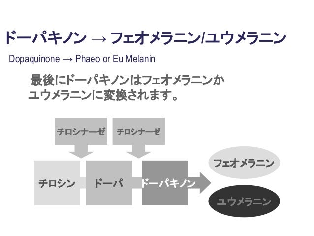 4MSK メラニンを作り出すチロシナーゼの働きをブロック!