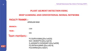 Nadimpalli Satyanarayana Raju Institute of Technology (NSRIT)
PLANT AILMENT DETECTION USING
DEEP LEARNING AND CONVENTIONAL NEURAL NETWORK
Team members:-
P.V.SURYA KAMAL[20nu1a4220]
NCH. DEDEEPYA [20nu1a4216]
G.JASWANTH CHOWDARY [20nu1a4206]
P.S.RATNA KUMARI [20nu1a4218]
P.SUVARNA[20nu1a4221]
FACULTY TRAINER :-
APARAJINI MAM
BRANCH:-
CSM
YEAR:-
3RD
 