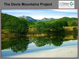The Davis Mountains Project
 