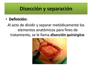 Disección y separación
• Definición:
 Al acto de dividir y separar metódicamente los
        elementos anatómicos para fines de
   tratamiento, se le llama disección quirúrgica.
 