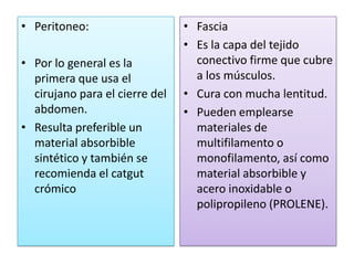 • Peritoneo:                    • Fascia
                                • Es la capa del tejido
• Por lo general es la            conectivo firme que cubre
  primera que usa el              a los músculos.
  cirujano para el cierre del   • Cura con mucha lentitud.
  abdomen.                      • Pueden emplearse
• Resulta preferible un           materiales de
  material absorbible             multifilamento o
  sintético y también se          monofilamento, así como
  recomienda el catgut            material absorbible y
  crómico                         acero inoxidable o
                                  polipropileno (PROLENE).
 