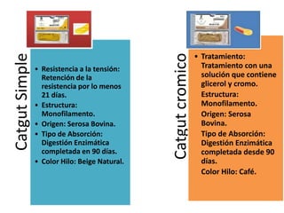 Catgut
Simple
• Resistencia a la tensión:
Retención de la
resistencia por lo menos
21 días.
• Estructura:
Monofilamento.
• Origen: Serosa Bovina.
• Tipo de Absorción:
Digestión Enzimática
completada en 90 días.
• Color Hilo: Beige Natural.
Catgut
cromico
• Tratamiento:
Tratamiento con una
solución que contiene
glicerol y cromo.
Estructura:
Monofilamento.
Origen: Serosa
Bovina.
Tipo de Absorción:
Digestión Enzimática
completada desde 90
días.
Color Hilo: Café.
 