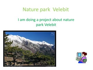 Nature park Velebit
I am doing a project about nature
park Velebit
 
