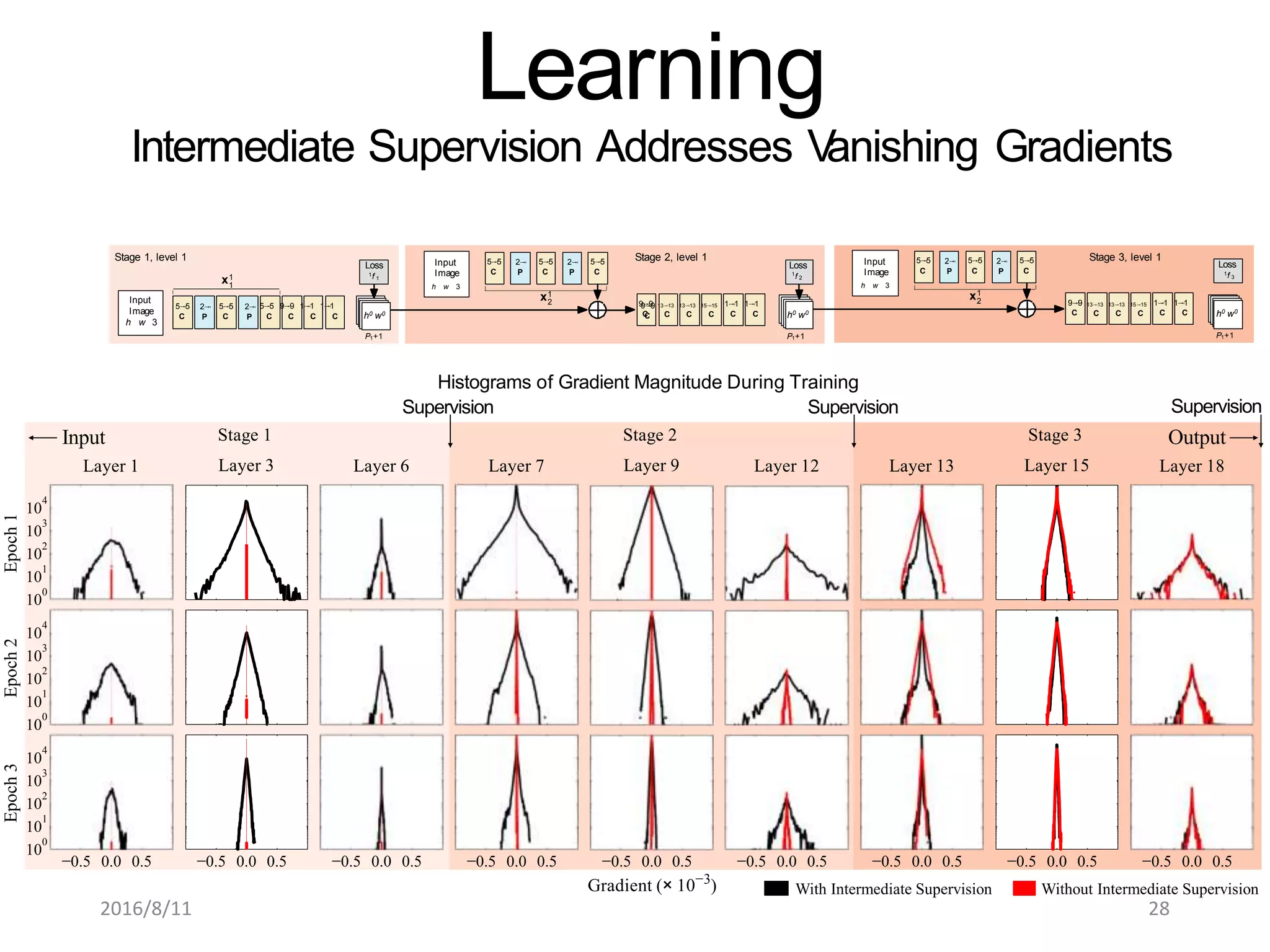 Input
Layer 1
Output
Layer 18
10
0
10
1
10
2
10
3
10
4
Epoch1
Stage 1
Layer 3 Layer 6 Layer 7
Stage 2
Layer 9 Layer 12 Layer 13
Stage 3
Layer 15
10
0
10
1
10
2
10
3
10
4
Epoch2
−0.5 0.0 0.5
10
0
10
1
10
2
10
3
10
4
Epoch3
−0.5 0.0 0.5 −0.5 0.0 0.5 −0.5 0.0 0.5 −0.5 0.0 0.5 −0.5 0.0 0.5 −0.5 0.0 0.5 −0.5 0.0 0.5 −0.5 0.0 0.5
Histograms of Gradient Magnitude During Training
Supervision Supervision Supervision
Input
Image
h w 3
5⇥5
C
5⇥5
C
2⇥ 5⇥5 9⇥9 1⇥1 1⇥1
P C C C C
9⇥9
C
9⇥9 13⇥13 13⇥13 15⇥15 1⇥1 1⇥1
C C C C C C
2⇥
P
5⇥5
C
5⇥5
C
5⇥5
C
2⇥
P
2⇥
P
Input
Image
h w 3
h0 w0
P1+1 P1+1
9⇥9
C
Loss
1
f 2
Loss
1f 1
x1
1
x1
2 9⇥9 13⇥13 13⇥13 15⇥15 1⇥1 1⇥1
C C C C C C
5⇥5 2⇥ 5⇥5 2⇥ 5⇥5
C P C P C
Input
Image
h w 3
h0 w0
P1+1
Loss
1f 3
x1
2
h0 w0
Gradient (× 10−3
) With Intermediate Supervision Without Intermediate Supervision
Stage 3, level 1Stage 2, level 1Stage 1, level 1
Learning
Intermediate Supervision Addresses Vanishing Gradients
2016/8/11 28
 