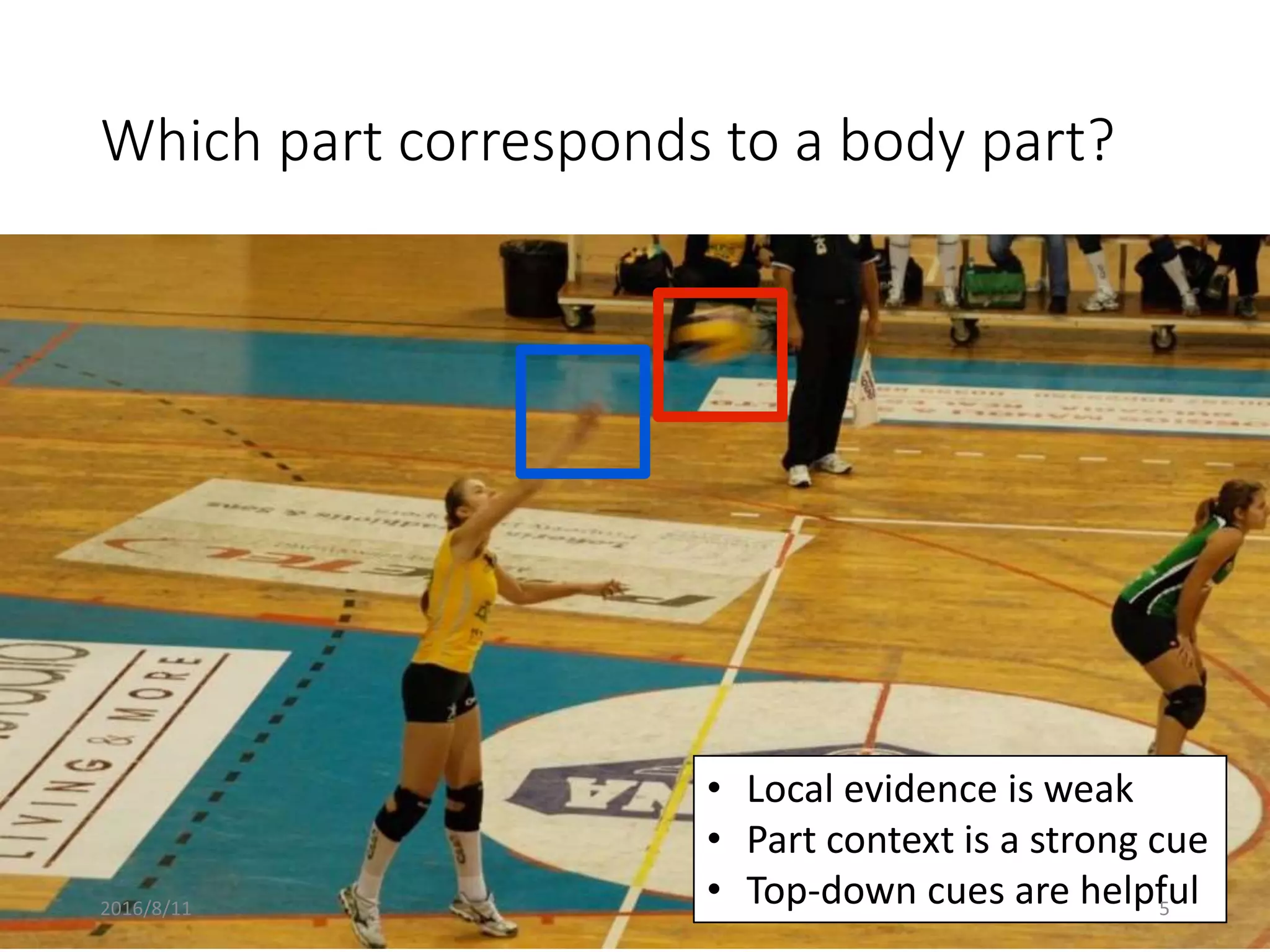 Which part corresponds to a body part?
• Local evidence is weak
• Part context is a strong cue
• Top-down cues are helpful2016/8/11 5
 