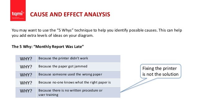 structure in research paper reports