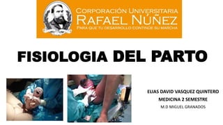 FISIOLOGIA DEL PARTO
ELIAS DAVID VASQUEZ QUINTERO
MEDICINA 2 SEMESTRE
M.D MIGUEL GRANADOS
 