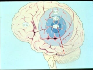 LOGOwww.themegallery.com
 