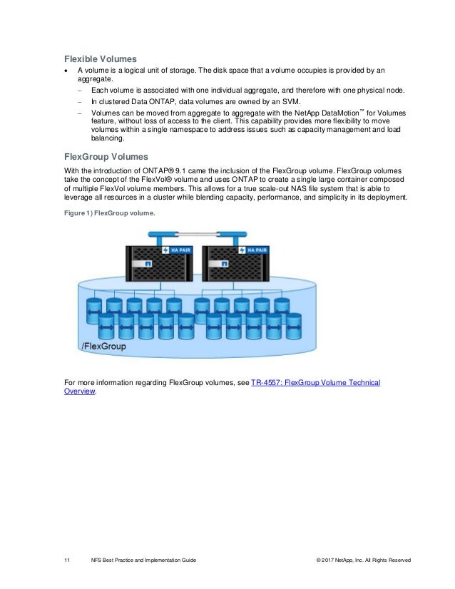 Tr 4067 Nfs Best Practice And Implementation