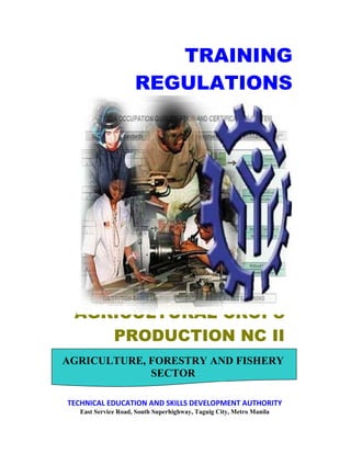 132
AGRICULTURAL CROPS
PRODUCTION NC II
TRAINING
REGULATIONS
AGRICULTURE, FORESTRY AND FISHERY
SECTOR
TECHNICAL EDUCATION AND SKILLS DEVELOPMENT AUTHORITY
East Service Road, South Superhighway, Taguig City, Metro Manila
 