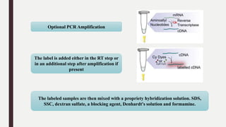 Optional PCR Amplification
The label is added either in the RT step or
in an additional step after amplification if
present
The labeled samples are then mixed with a propriety hybridization solution. SDS,
SSC, dextran sulfate, a blocking agent, Denhardt's solution and formamine.
 