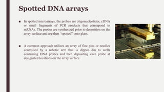 DNA Microarray | PPTX