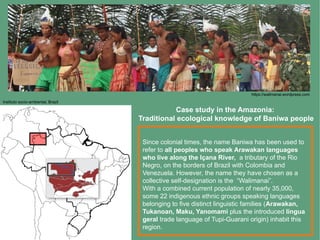 Gamba-Trimino_2019_Traditional-ecological-knowledge-Amazonia_UNESCO ...