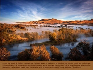 Lever de soleil à Boise, capitale de l’Idaho. Avec la neige et la lumière du matin, c’est un endroit où j’aimerais être. Si vous regardez attentivement, vous pourrez voir un cerf dans une clairière à la gauche du centre de la photo (pour plus de détails, voir la photo suivante).(Foto y texto de Glen Hush) 