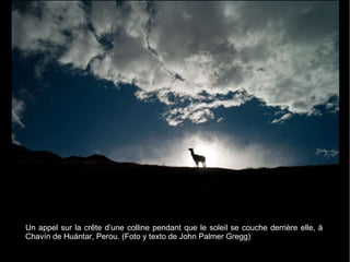 Un appel sur la crête d’une colline pendant que le soleil se couche derrière elle, à  Chavín de Huántar, Perou. (Foto y texto de John Palmer Gregg) 