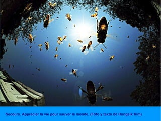 Secours. Apprécier la vie pour sauver le monde. (Foto y texto de Hongsik Kim) 