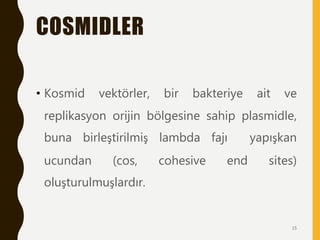 COSMIDLER
• Kosmid vektörler, bir bakteriye ait ve
replikasyon orijin bölgesine sahip plasmidle,
buna birleştirilmiş lambda fajı yapışkan
ucundan (cos, cohesive end sites)
oluşturulmuşlardır.
15
 