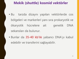 • Bu tarzda dizaynı yapılan vektörlerde cos
bölgeleri ve markerleri yanı sıra prokaryotik ve
ökaryotik hücrelere ait genetik DNA
sekansları da bulunur.
• Bunlar da 35-40 kb’lık yabancı DNA’yı kabul
edebilir ve transferini sağlayabilir.
Mekik (shuttle) kosmid vektörler
19
 
