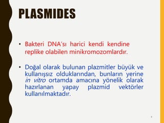PLASMIDES
• Bakteri DNA’sı harici kendi kendine
replike olabilen minikromozomlardır.
• Doğal olarak bulunan plazmitler büyük ve
kullanışsız olduklarından, bunların yerine
in vitro ortamda amacına yönelik olarak
hazırlanan yapay plazmid vektörler
kullanılmaktadır.
4
 