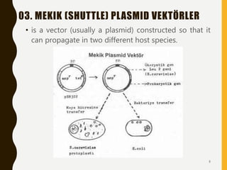 03. MEKIK (SHUTTLE) PLASMID VEKTÖRLER
• is a vector (usually a plasmid) constructed so that it
can propagate in two different host species.
8
 