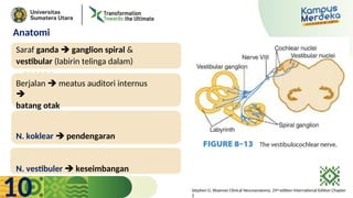 TR_2_Andreas_Cranial_Nerves_and_Pathway_2.ppt
