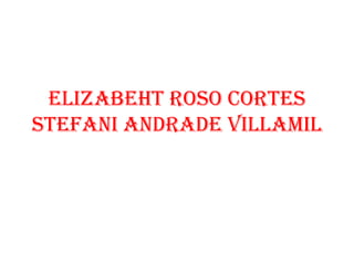 ELIZABEHT ROSO CORTES
STEFANI ANDRADE VILLAMIL
 