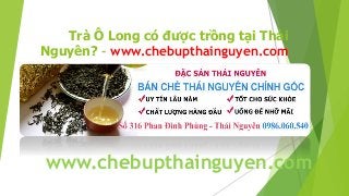 Trà Ô Long có được trồng tại Thái
Nguyên? - www.chebupthainguyen.com
www.chebupthainguyen.com
 