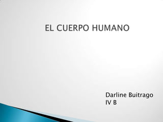 Darline Buitrago
IV B
 