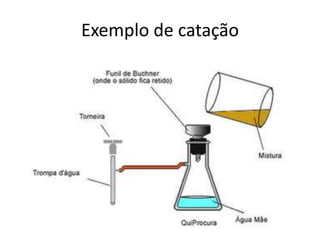 Exemplo de catação