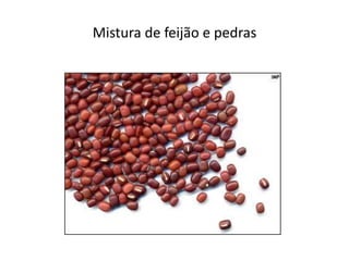 Mistura de feijão e pedras