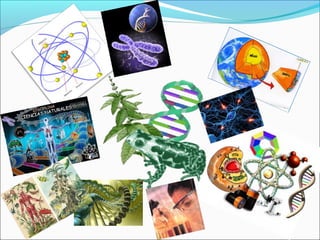 Examen segundo quimestre