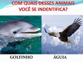 COM QUAIS DESSES ANIMAIS
VOCÊ SE INDENTIFICA?
GOLFINHO ÁGUIA
 